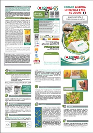 TRÍPTICO ECONEX ANARSIA LINEATELLA 2 MG 40 DÍAS