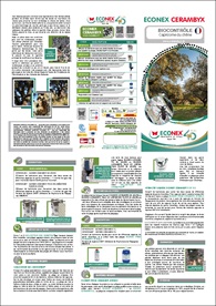 TRÍPTICO ECONEX CERAMBYX