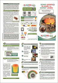 TRÍPTICO ECONEX LEIODES