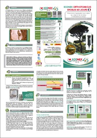 Triptico orthotomicus erosus ECONEX