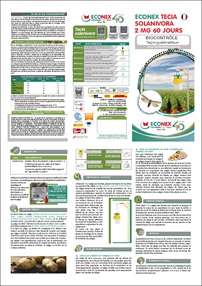 TRÍPTICO CERATITIS CAPITATA 90 DÍAS